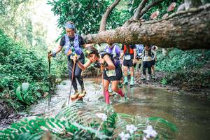 BIB: 
                            <button type="button" onclick="openModal(25478625)" class="btn btn-primary btn-sm float-right btn-popup" data-toggle="modal" data-target=".modal-high-quality">
                        <i class="fas fa-shopping-cart"></i> Add to Cart
                    </button>
                                            <button type="button" onclick="isThisMe(25478625, true)" class="btn btn-success btn-sm float-right btn-popup btn-isme hidden" data-toggle="tooltip" data-placement="bottom" title="นี่คือรูปของคุณใช่ไหม คลิกที่นี่เพื่อเอาเข้าอัลบั้ม">
                        <i class="fas fa-plus"></i> Add to album
                    </button>
                    <button type="button" onclick="isThisMe(25478625, false)" class="btn btn-warning btn-sm float-right btn-popup btn-isnotme hidden">
                        <i class="fas fa-ban"></i> Remove from album
                    </button>